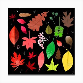 Leaves Square Canvas Print