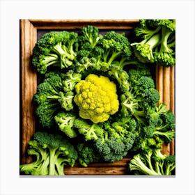 Top View Of Broccoli In A Frame 1 Canvas Print