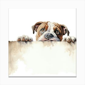 Bulldog 3 Canvas Print