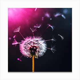 Drifting Dandelion Seeds Lit by Pink Canvas Print