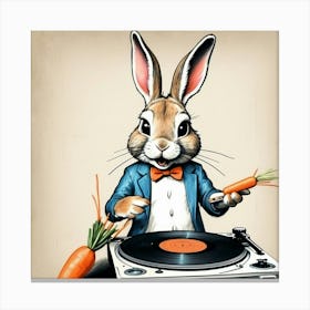 Rabbit On A Turntable Canvas Print