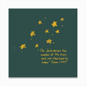 The Number Of The Stars Canvas Print