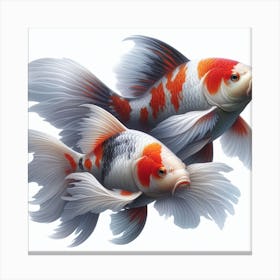 Koi fish 1 Canvas Print