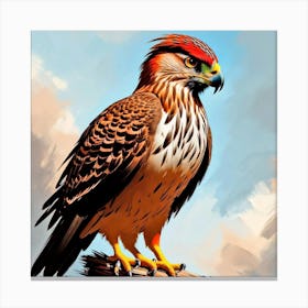 Hawks 13 Canvas Print