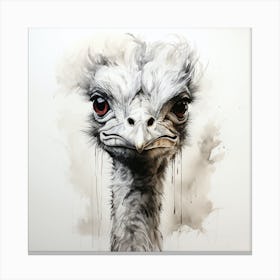 Ostrich 1 Canvas Print