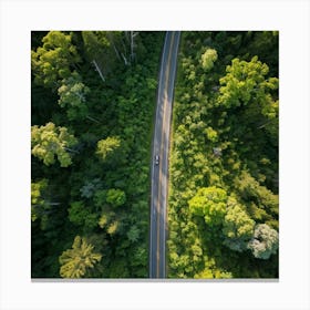 Aerial View Of A Forest Road 1 Canvas Print