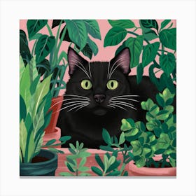 Black Cat In Pots 1 Canvas Print