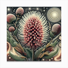 Aeonium Canvas Print