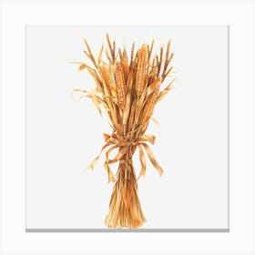 Bouquet Of Wheat Canvas Print