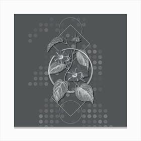 Vintage Hoary Jacquemontia Flower Botanical with Line Motif and Dot Pattern in Ghost Gray n.0287 Canvas Print