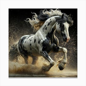 Horse Running In Water 2 Canvas Print
