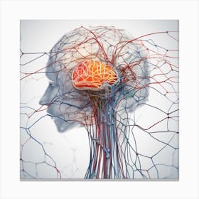 Brain And Nervous System 27 Canvas Print