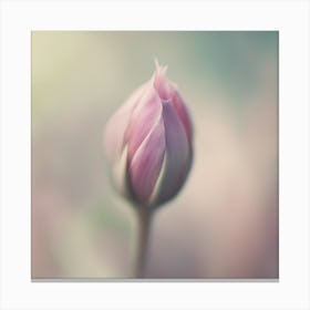 A Close Up Of A Delicate Flower Bud Just Beginning To Bloom, With Soft Petals And Hints Of Vibrant C (5) Canvas Print