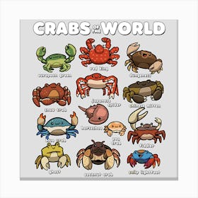 Crabs Of The World Stampe su tela