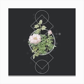 Vintage Ventenat's Rose Botanical with Geometric Line Motif and Dot Pattern Canvas Print