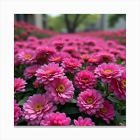 A Lush Garden Of Vibrant Fuchsia Flowers In Full Bloom 2 Canvas Print