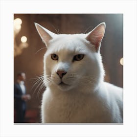 White Cat In A Room Canvas Print