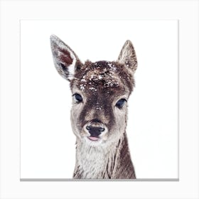 Little Fawn Fiona Square Canvas Print