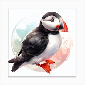 Bird Puffin 2 Canvas Print