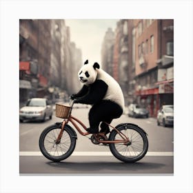 Panda Bear On A Bicycle Canvas Print