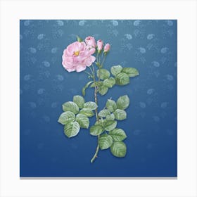 Vintage Damask Rose Botanical on Bahama Blue Pattern n.1510 Canvas Print