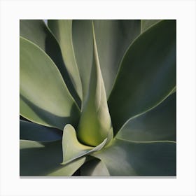Heart of the Agave plant Canvas Print