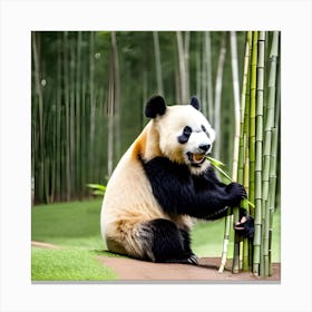 Panda Bear In Bamboo Forest Photo Canvas Print