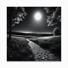 Moonlight Path 1 Canvas Print