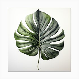 Monstera Leaf Canvas Print