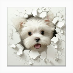 Dog Through A Hole 4 Canvas Print