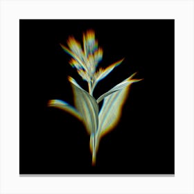 Prism Shift False Helleborine Botanical Illustration on Black n.0340 Canvas Print