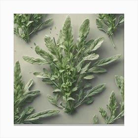 Sage symbol Canvas Print