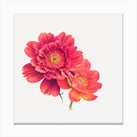 Red Carnations Canvas Print