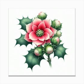 Flower of Holly-hox 2 Canvas Print
