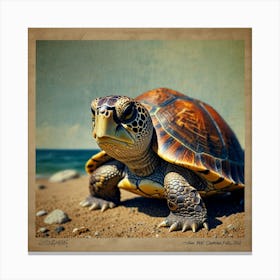 Turtle On The Beach 9 Canvas Print