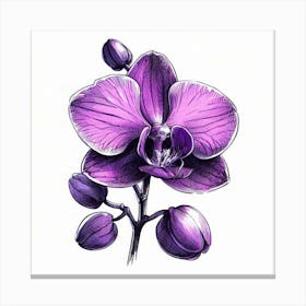 Orchid flower 2 Canvas Print