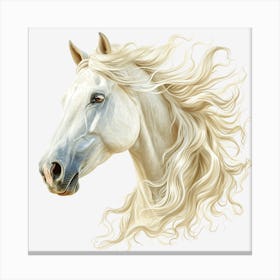 White Horse Head Canvas Print