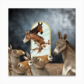 Donkeys In The Mirror Canvas Print