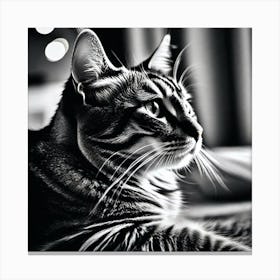Black And White Cat 3 Canvas Print
