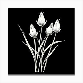 Tulips 2 Canvas Print