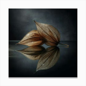 Two Leaves On A Black Surface Canvas Print