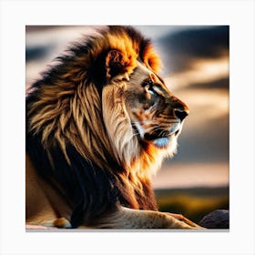 Lion art 16 Canvas Print