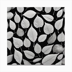 Black And White Leaves 4 Canvas Print