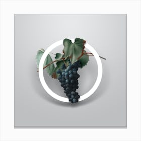 Vintage Grape Vine Minimalist Floral Geometric Circle on Soft Gray n.0152 Canvas Print