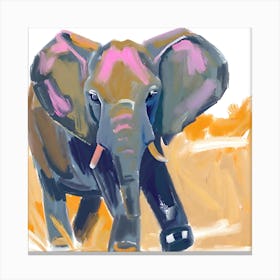 African Bush Elephant 01 1 Canvas Print