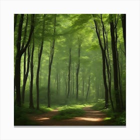 The Right Path Canvas Print