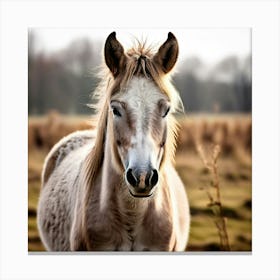 Horse Animal Grass Breeding Head Pasture Donkey Standing Farm Cute White Background Natu (2) 2 Canvas Print