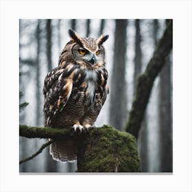 Owl In The Forest Canvas Print