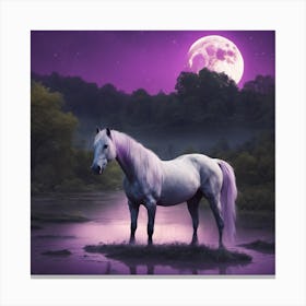 Horse In The Moonlight Canvas Print