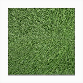 Grass Background Photo 1 Canvas Print